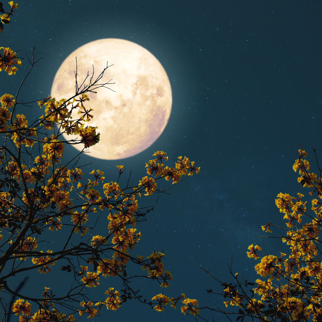 Setting new and full moon intentions